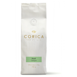 Brazil Catigua (micro-lot)