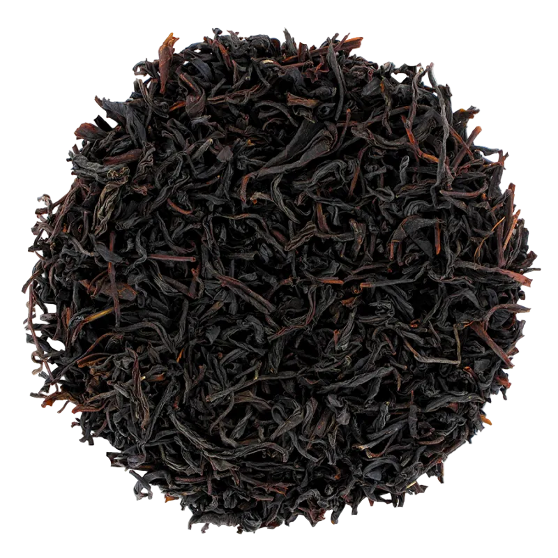 CHO Back To Black BIO*